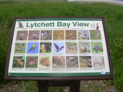Lytchett Bay