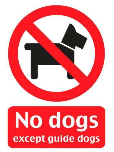 No Dogs sign