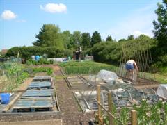 Allotments