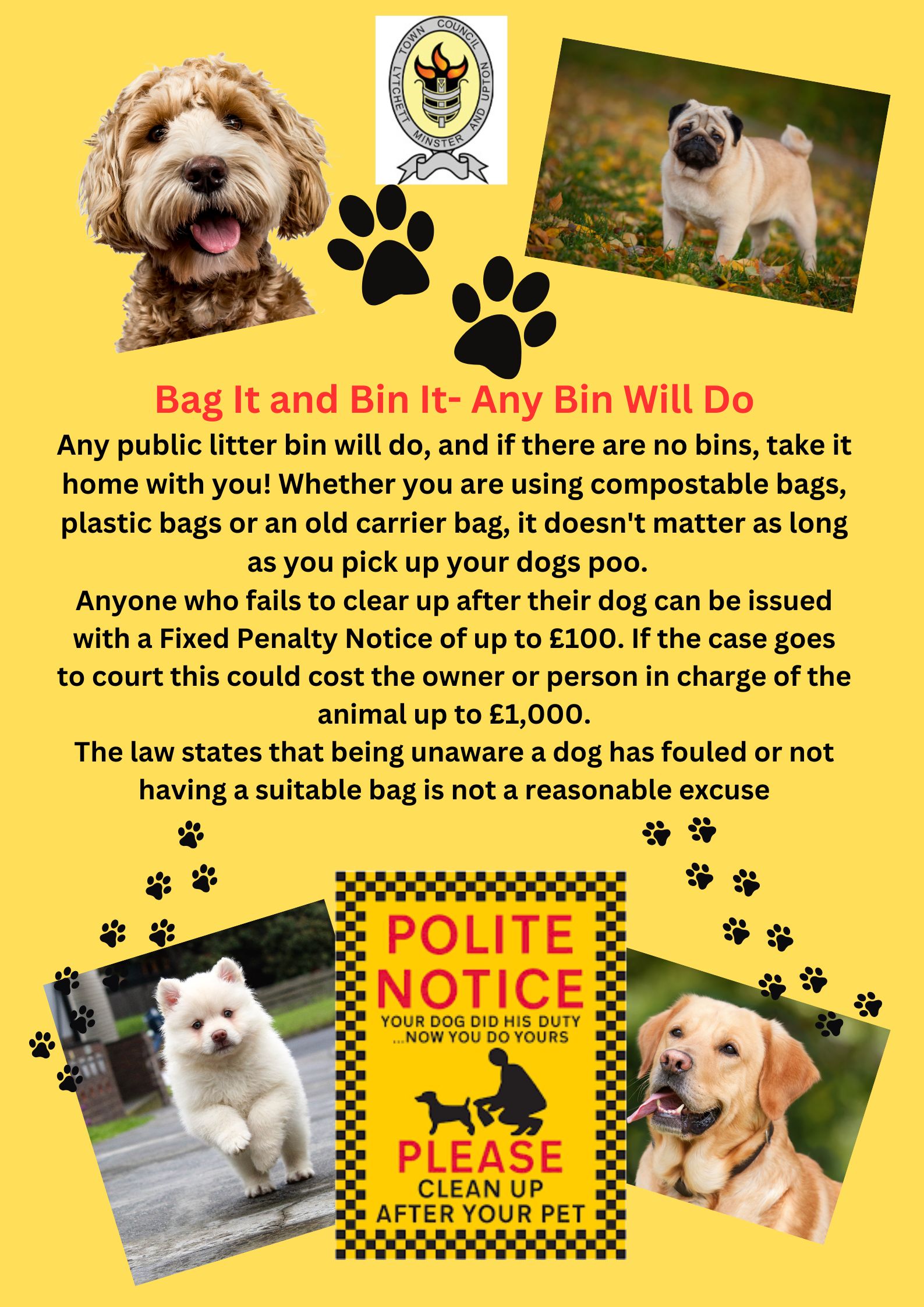 No Dog Fouling