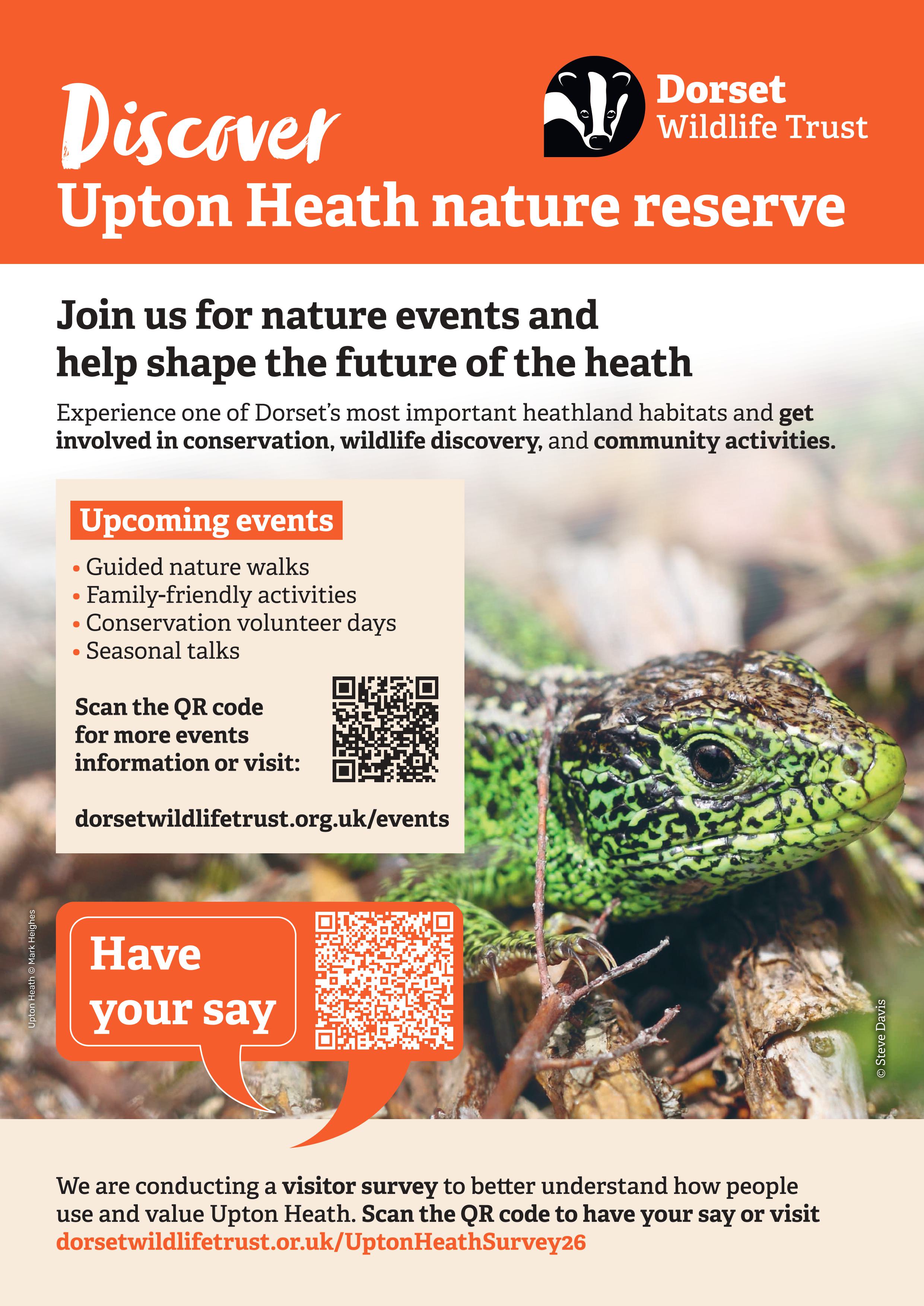 Exciting events hosted by Dorset Wildlife Trust